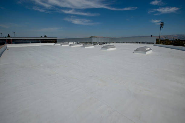 Best Commercial Roofing Services  in Wilson, PA