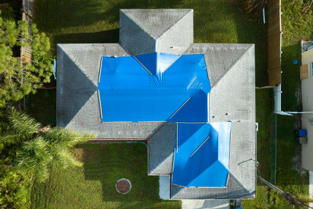 Best Solar Panel Roofing Installation  in Wilson, PA